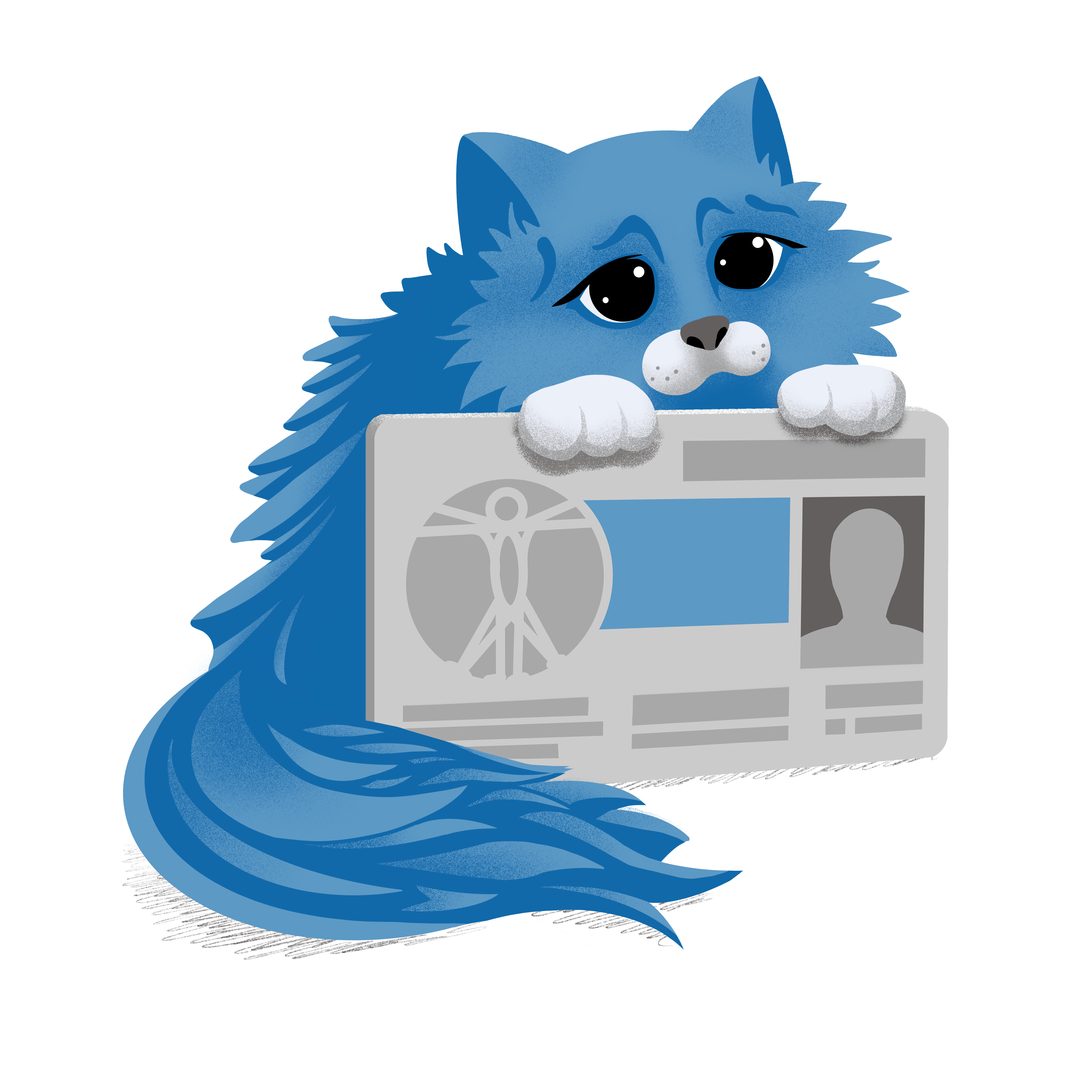 Eine blaue Katze mit großen Kulleraugen zeigt eine Krankenversicherungskarte