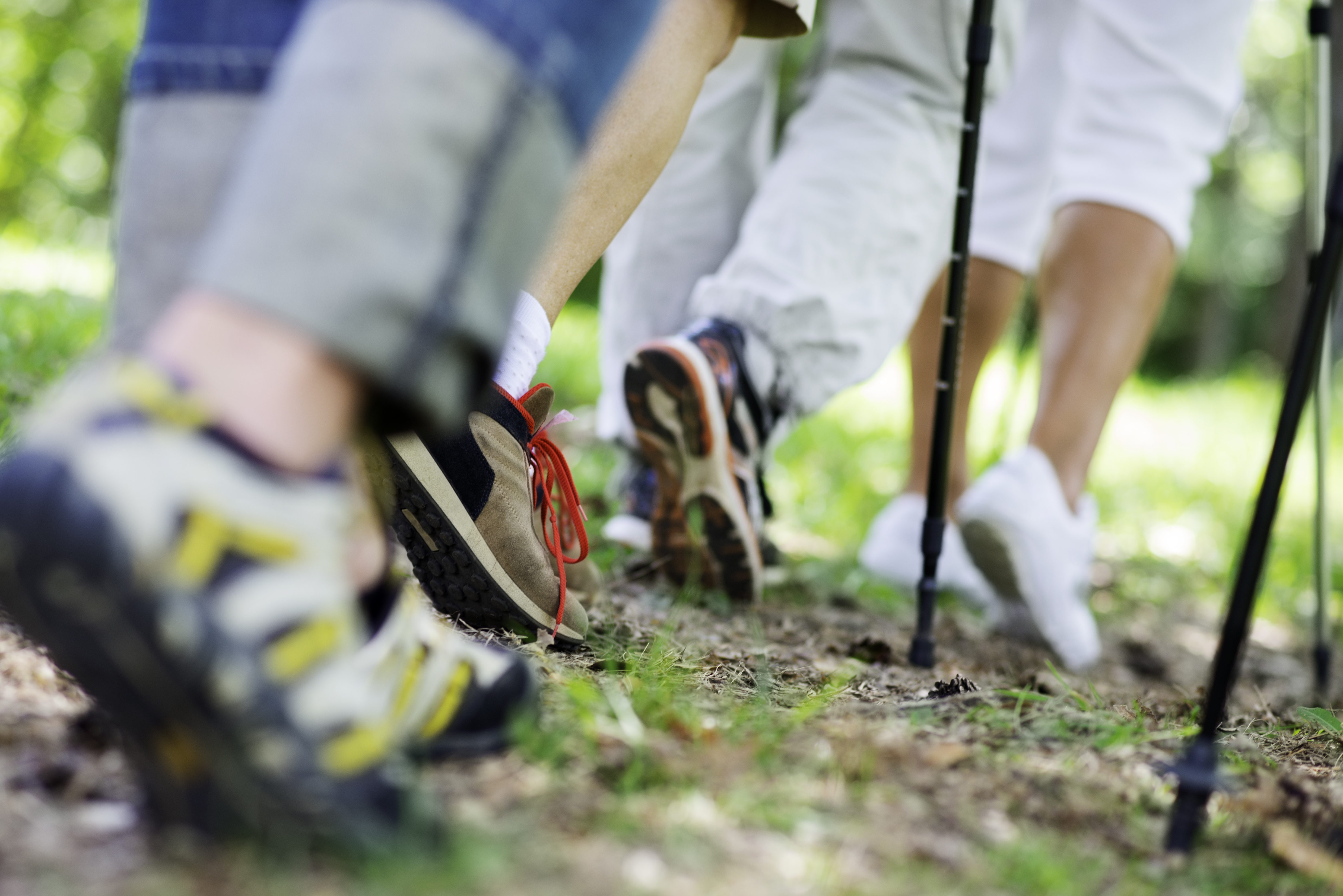 Walking-Gruppe beim Laufen im Wald.