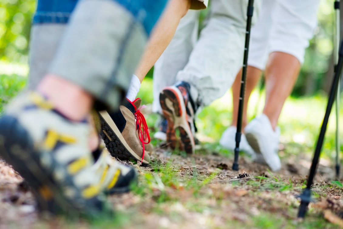 Man sieht die Füße einer Walking-Gruppe während des Laufens. Walking-Gruppe beim Laufen im Wald.