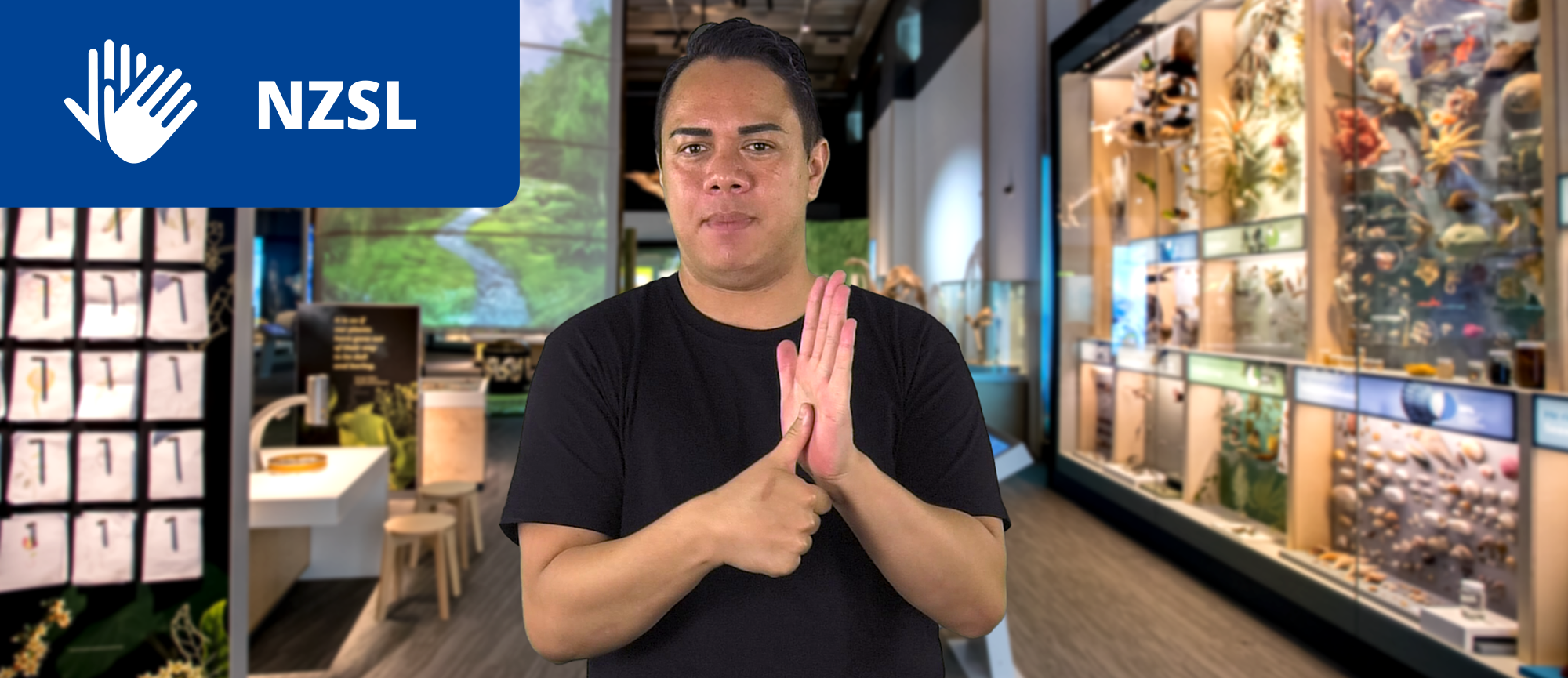NZSL guide image. A Deaf NZSL presenter is signing the museum's name: Te Papa. He is standing inside the Te Taiao Nature Gallery.