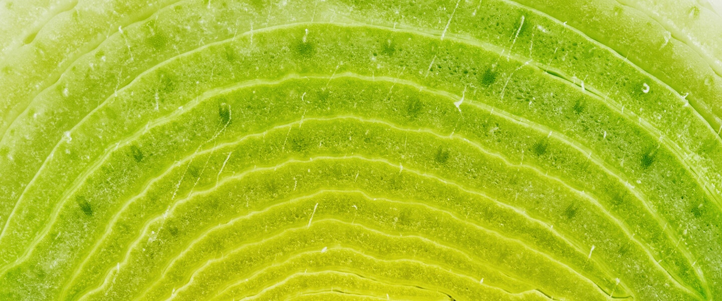 Image of leaf