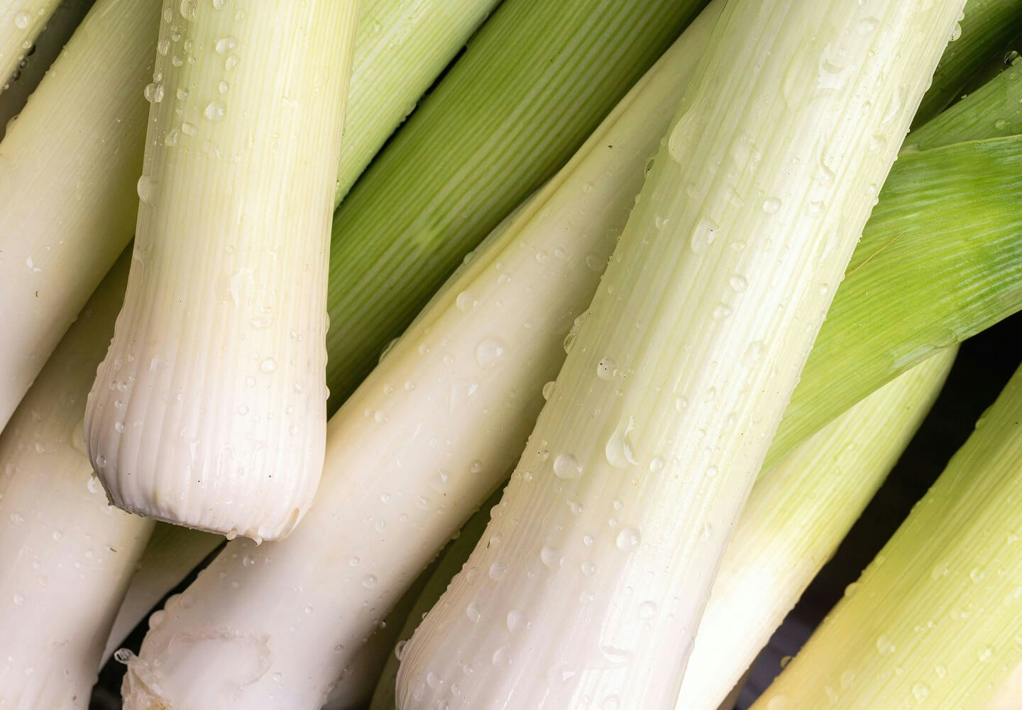 Image of food
