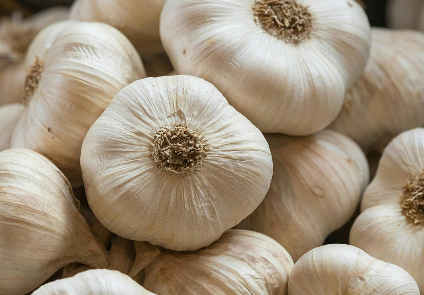 Image of food
