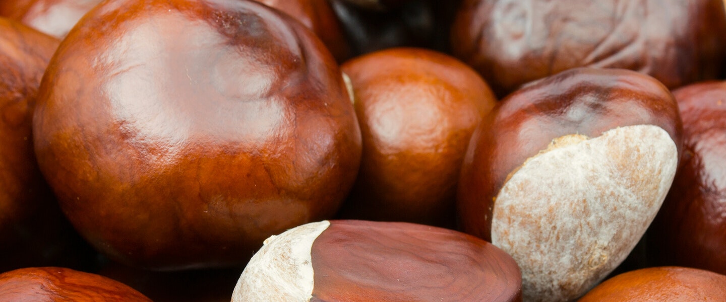 Image of food