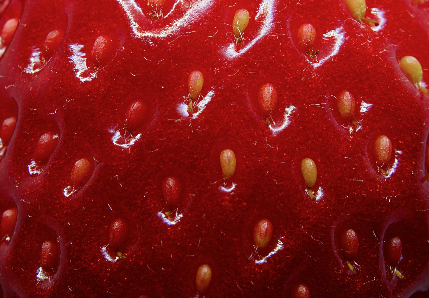 Image of berry