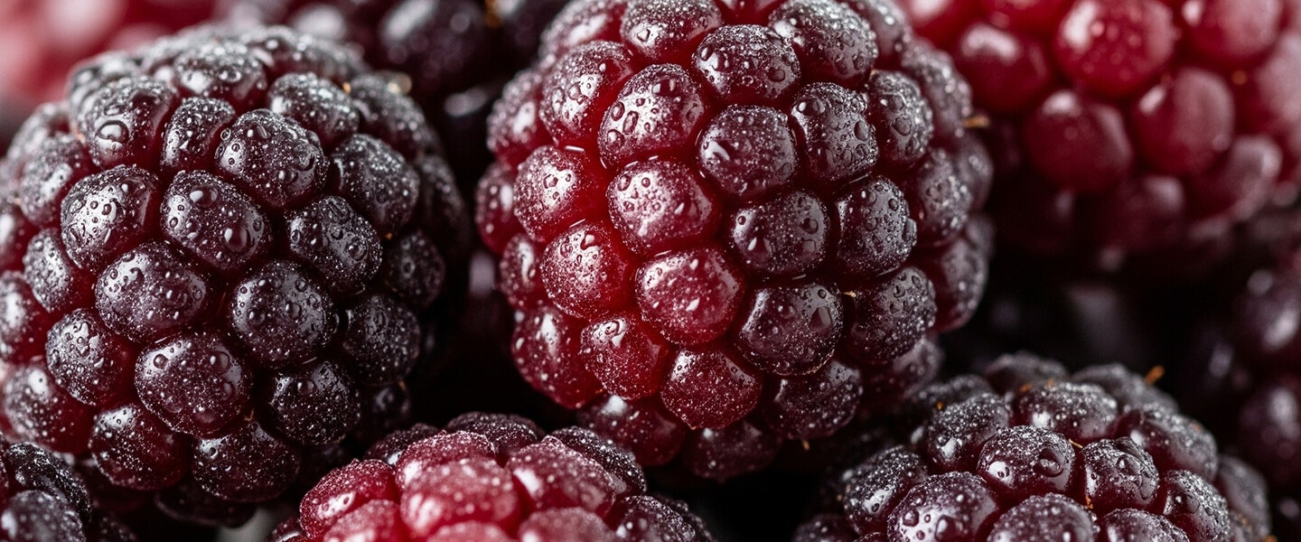 Image of berry