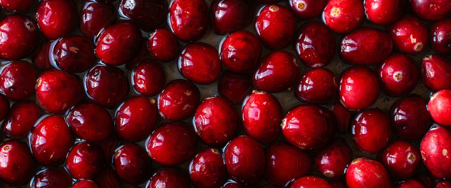 Image of food