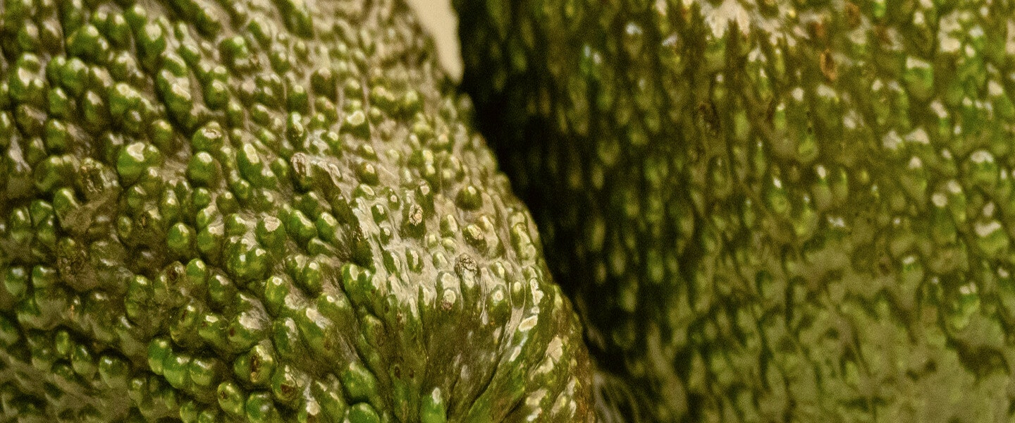 Image of food