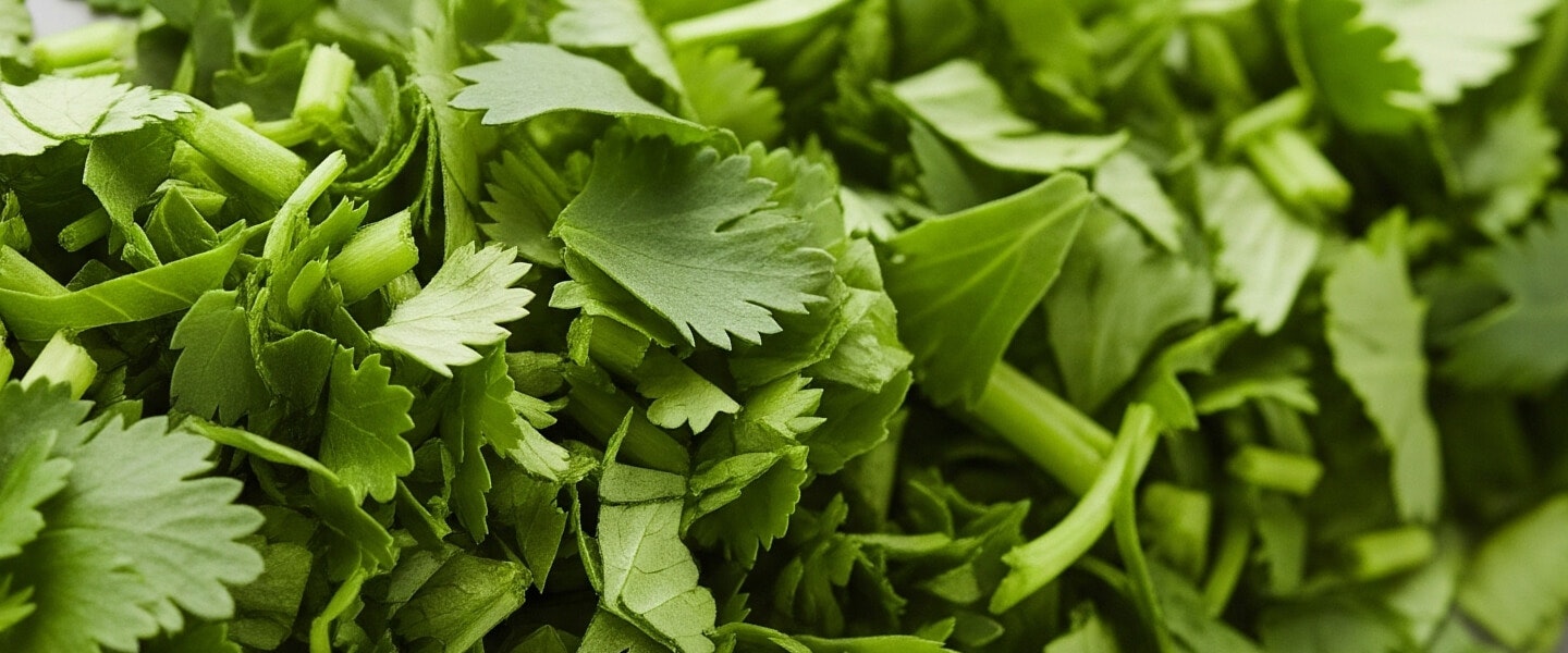 Image of herbs