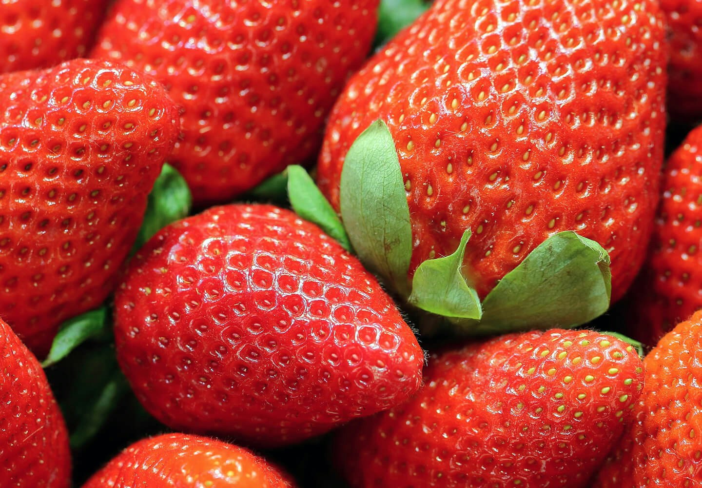 Image of berry