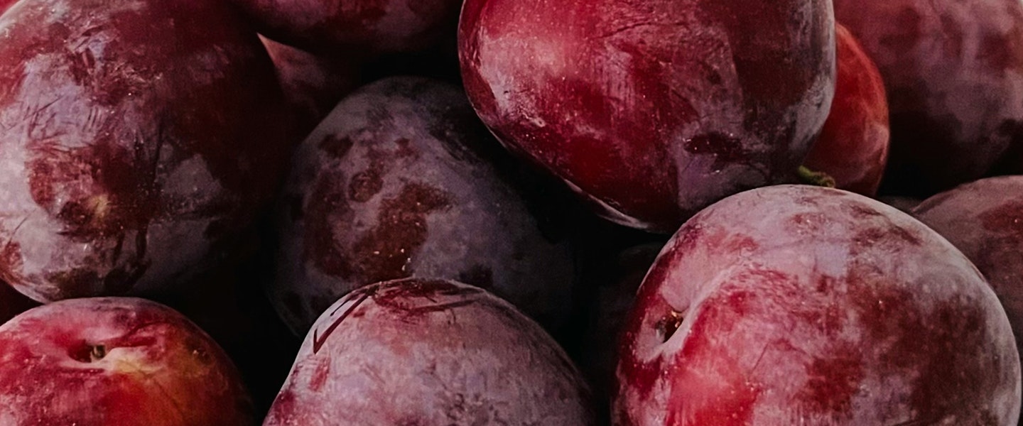 Image of food