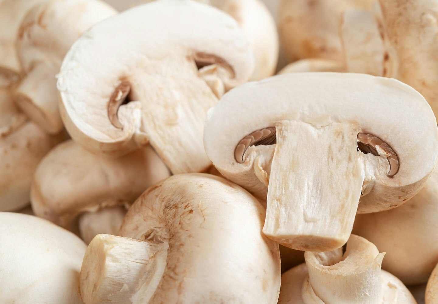 Image of fungus