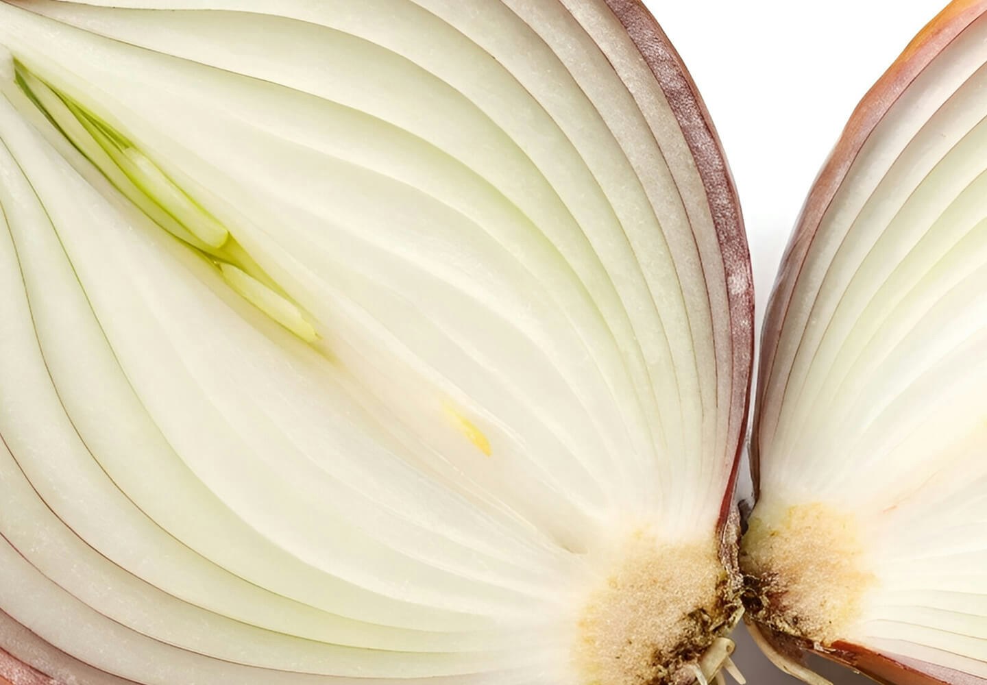 Image of food