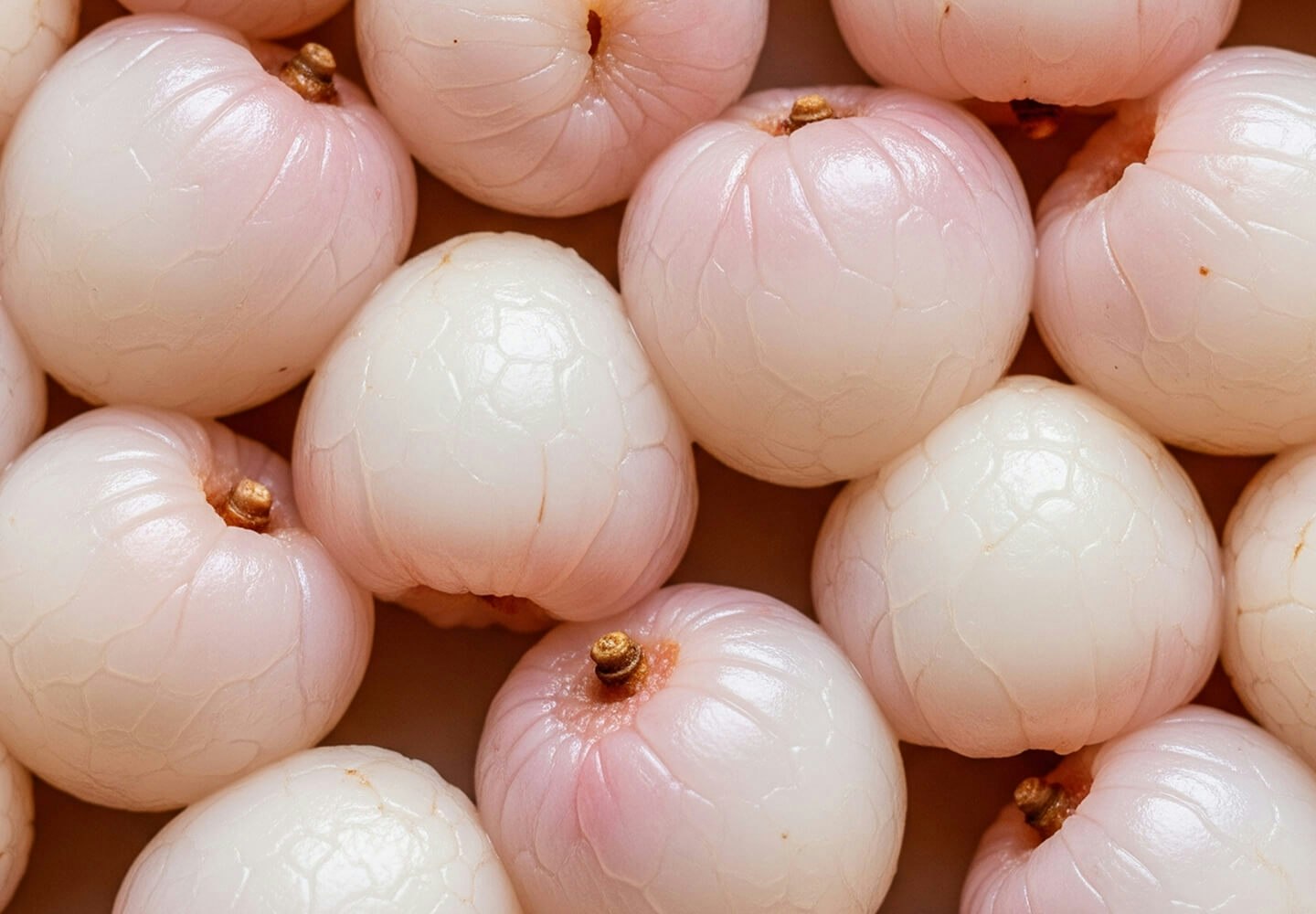 Image of food