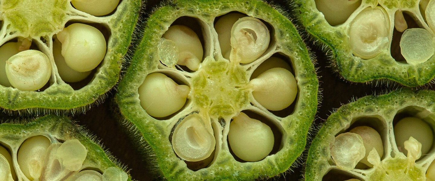 Image of food