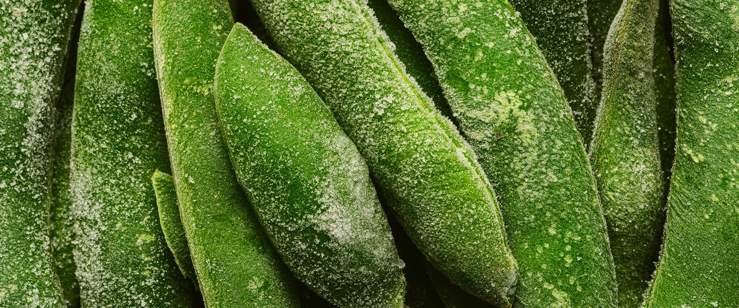 Image of food