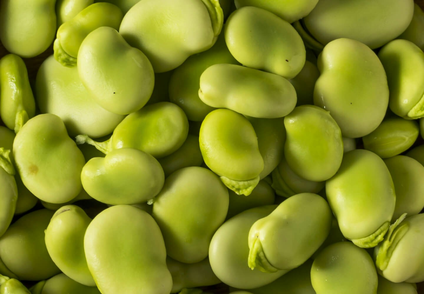 Image of food