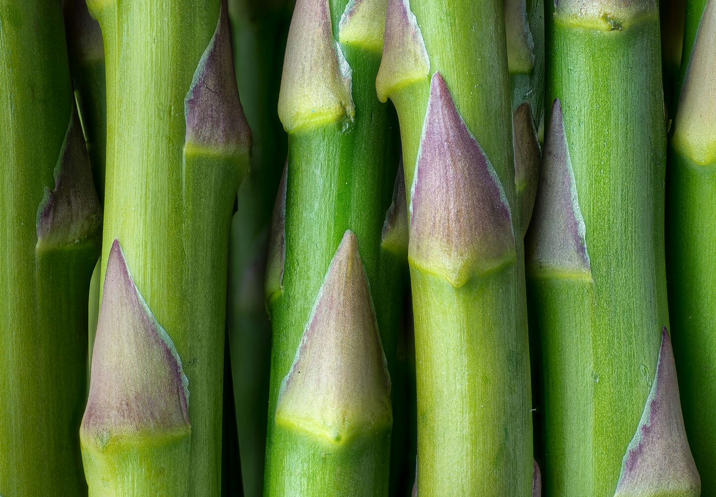 Image of asparagus
