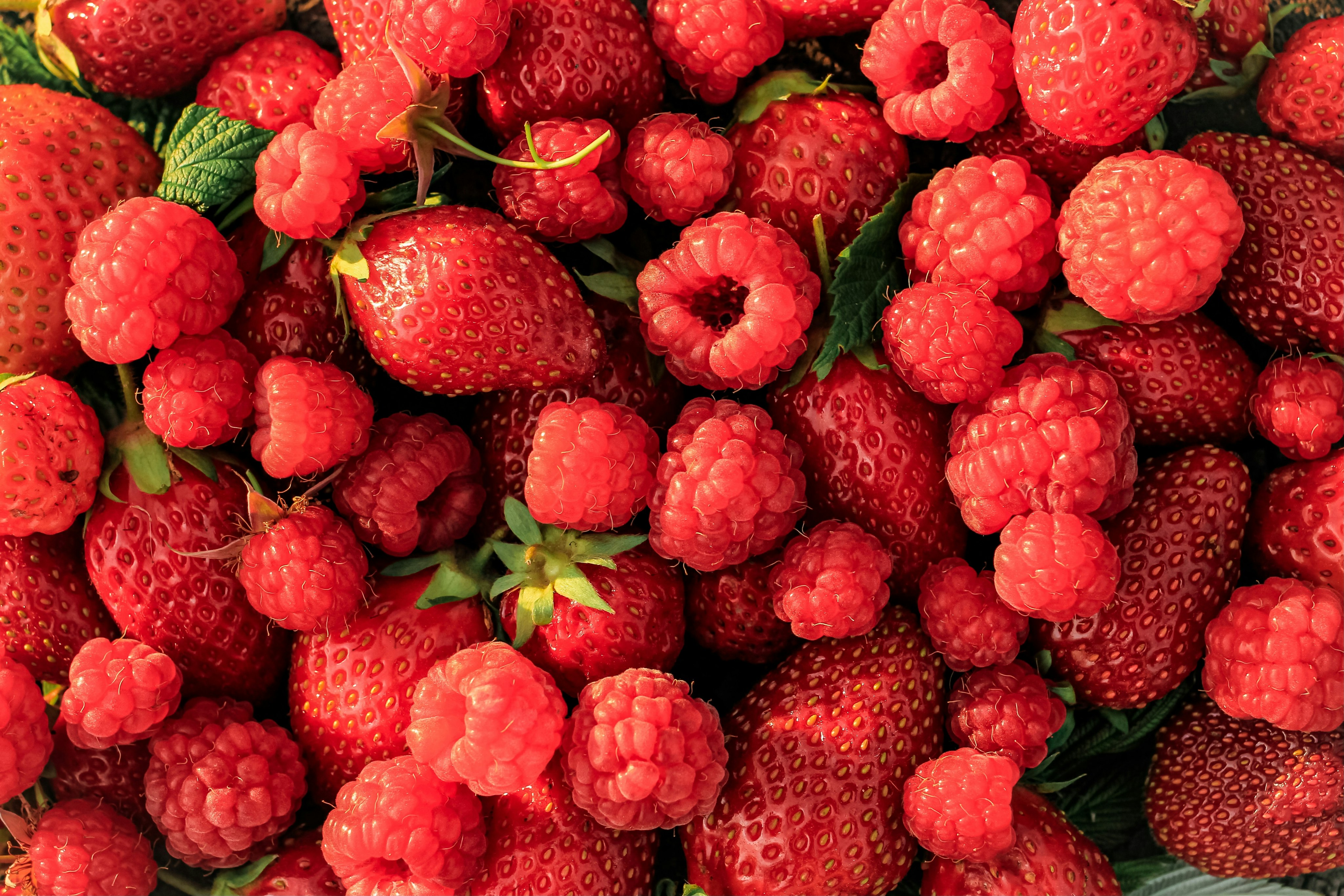 Image of berry