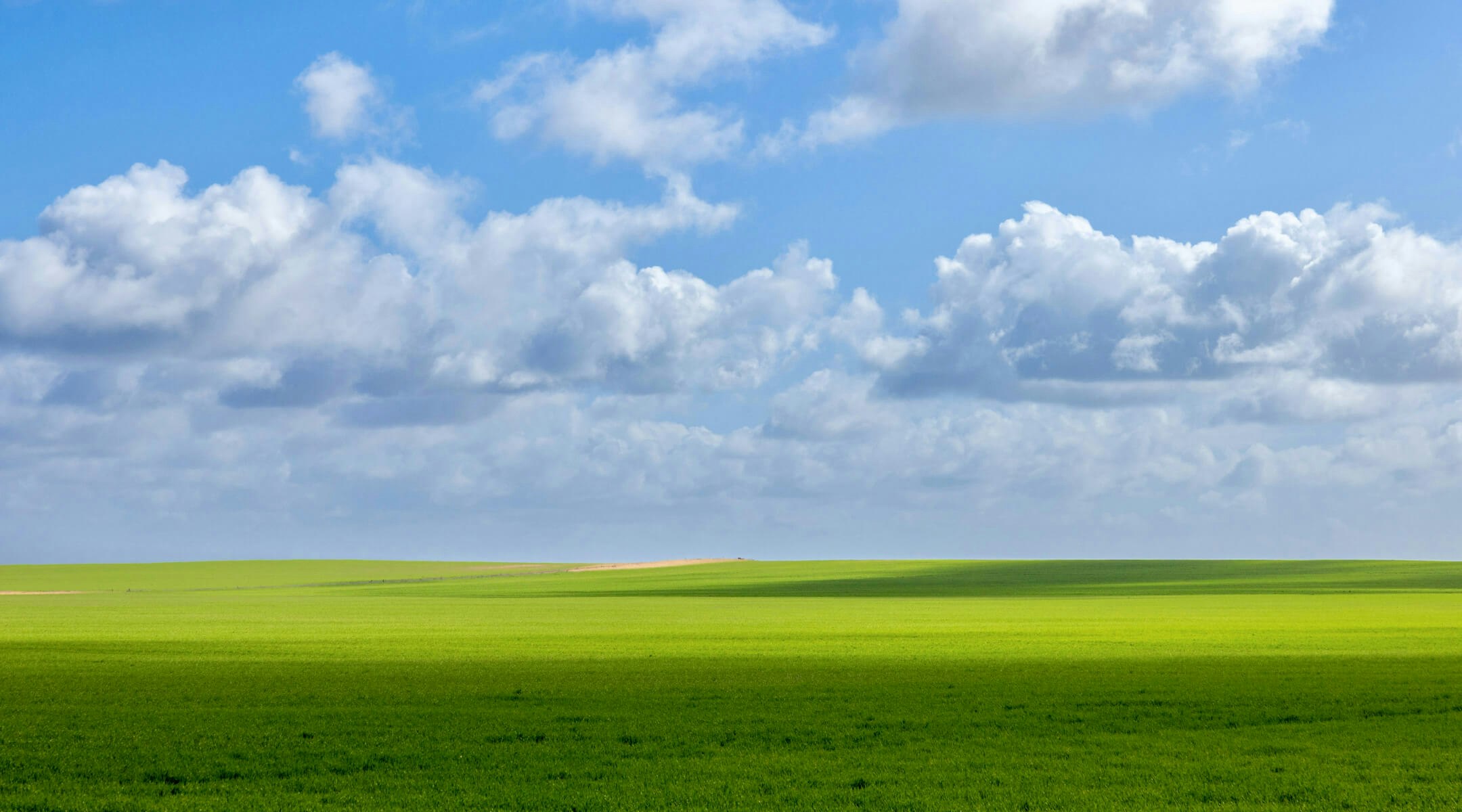 Image of nature