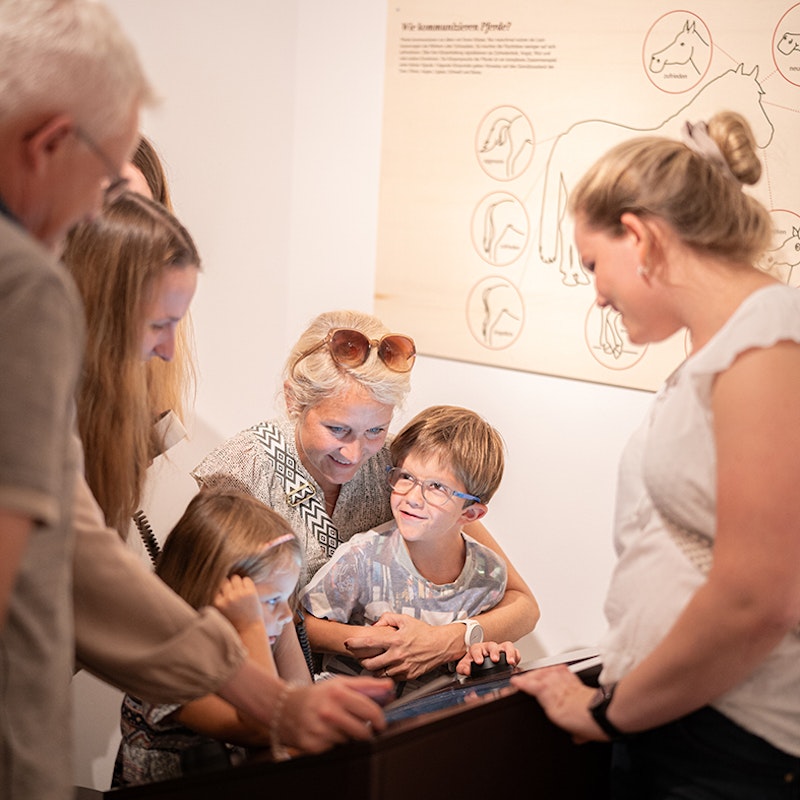 Hü, Rössli hü! Image for Hü, Rössli hü!