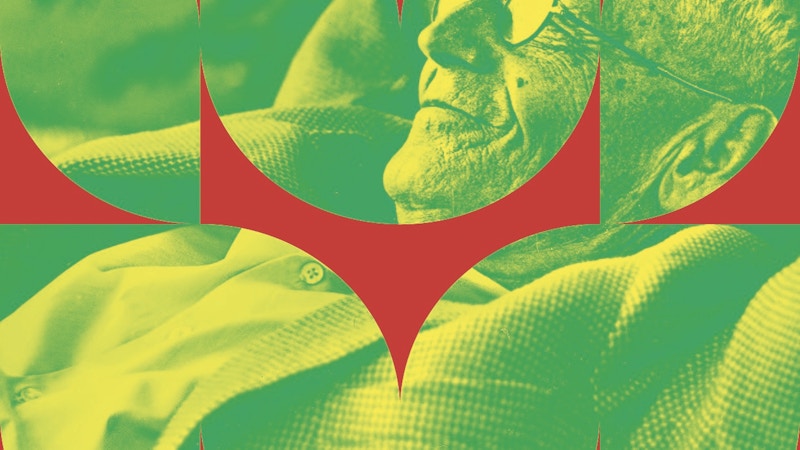 Nei giardini di Hesse: tra compost, arte e consapevolezza Image for Nei giardini di Hesse: tra compost, arte e consapevolezza