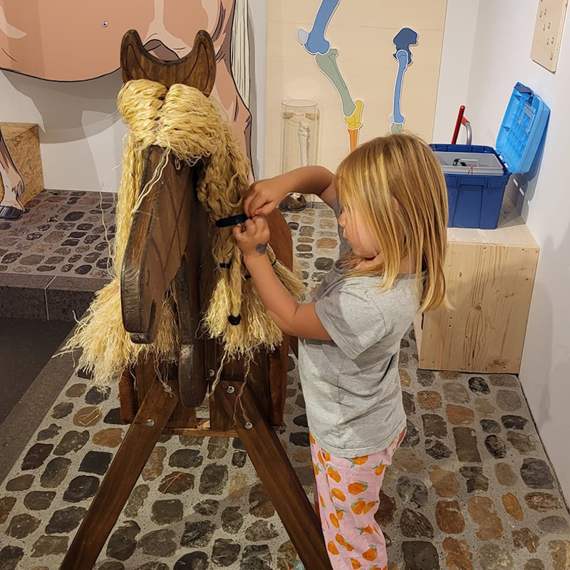 Hü, Rössli hü! Image for Hü, Rössli hü!