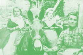 Image for Médiathèque Valais – Martigny: Domestiques photogéniques