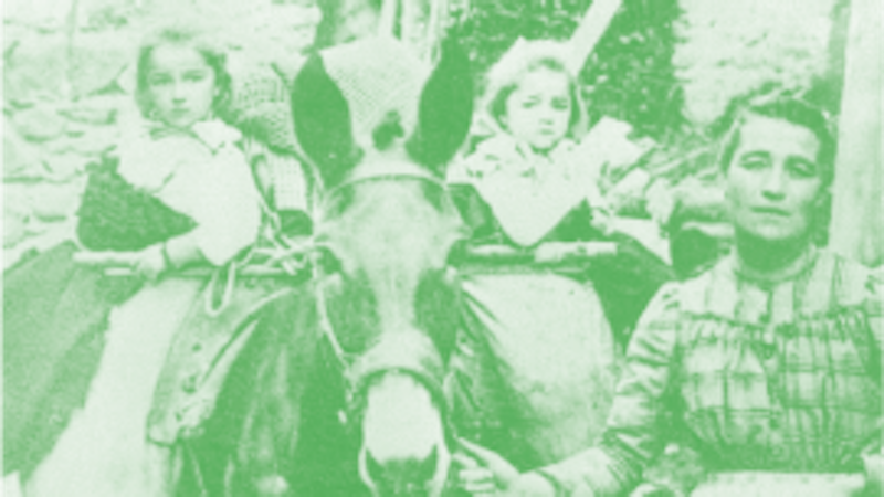 Médiathèque Valais – Martigny: Domestiques photogéniques Image for Médiathèque Valais – Martigny: Domestiques photogéniques