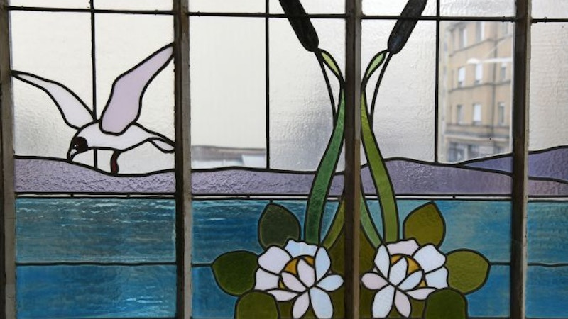 ¿Pequeña naturaleza? - Museo del Lago Lemán Image for ¿Pequeña naturaleza? - Museo del Lago Lemán