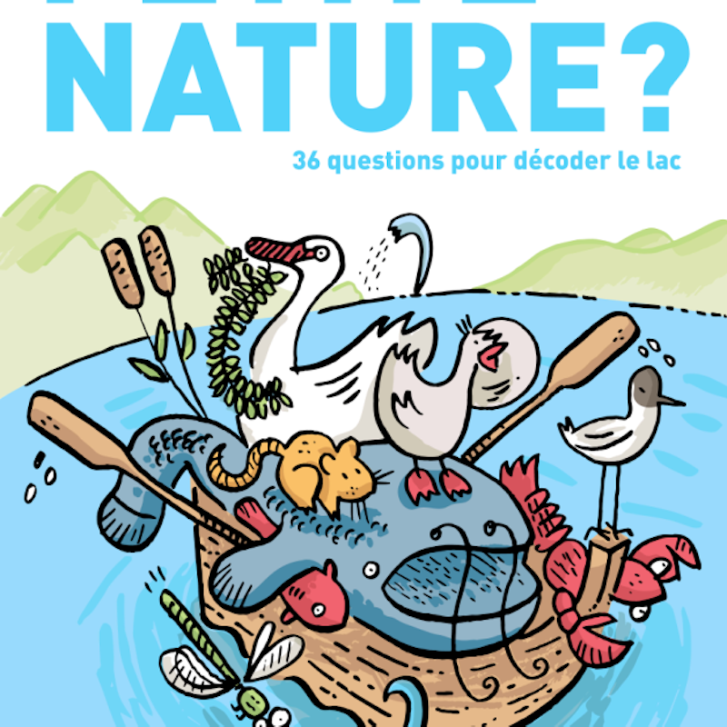 ¿Pequeña naturaleza? - Museo del Lago Lemán Image for ¿Pequeña naturaleza? - Museo del Lago Lemán