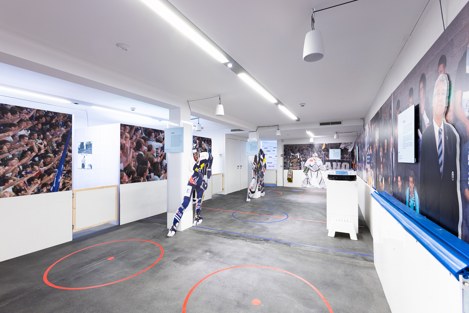 Image for ON ICE - Fascinace ledem