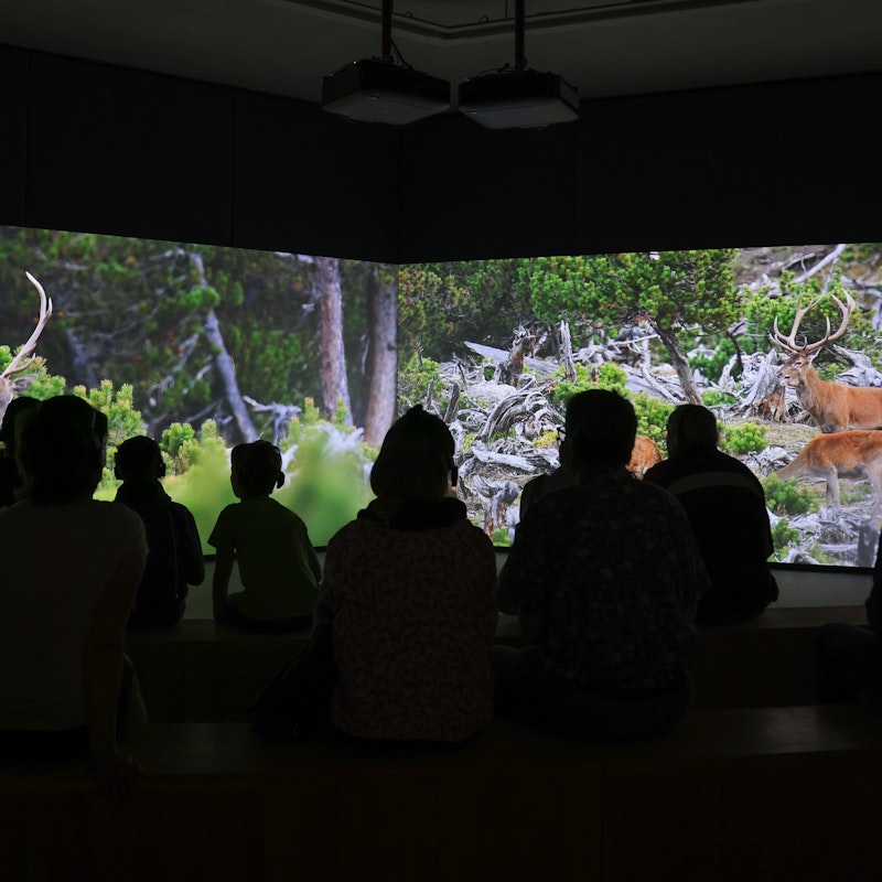 Centro del Parco Nazionale Zernez Image for Centro del Parco Nazionale Zernez