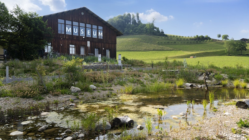 Naturgarten Image for Naturgarten