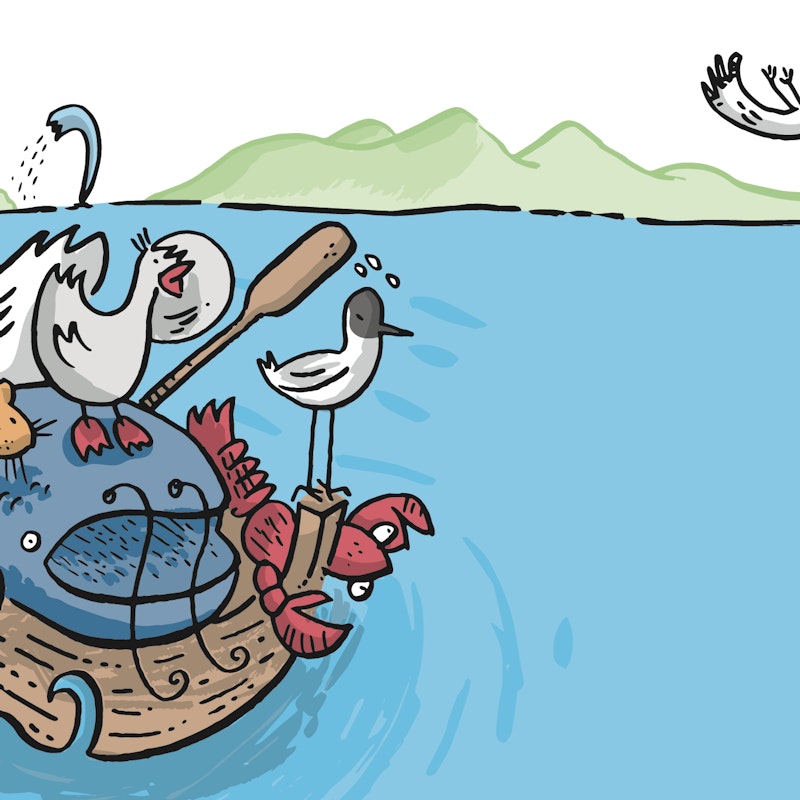 Petite nature ? - Musée du Léman Image for Petite nature ? - Musée du Léman