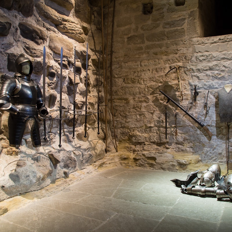 Exposición del castillo del Museo de Historia de Turgovia Image for Exposición del castillo del Museo de Historia de Turgovia