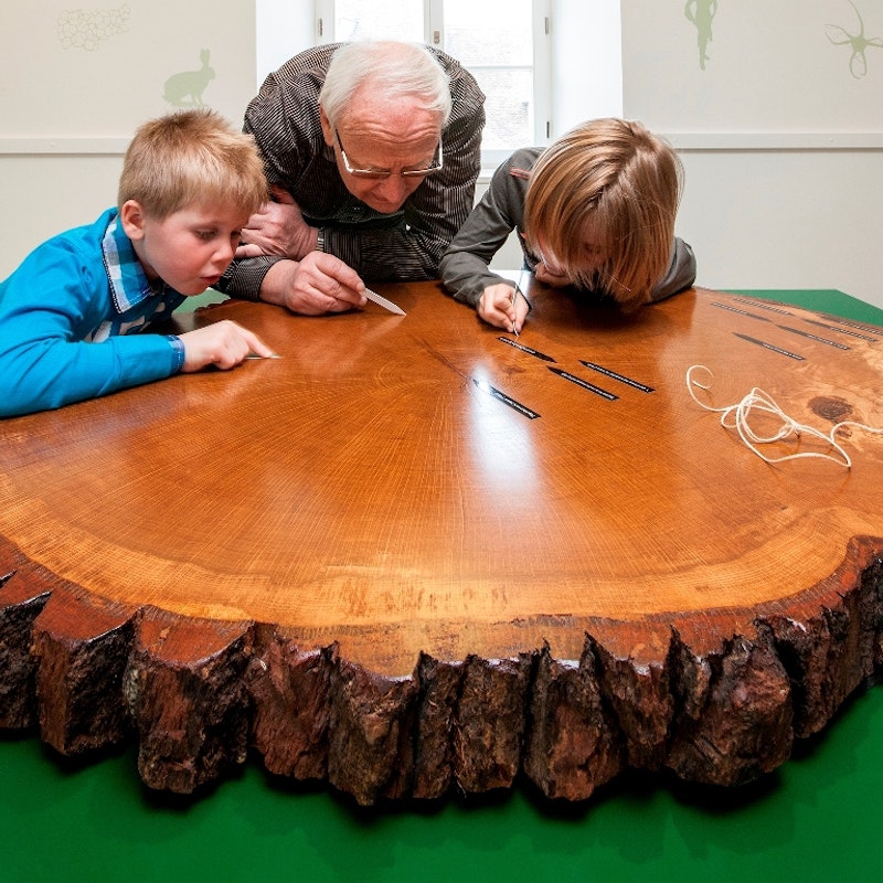 Wildes Baselbiet. Tieren und Pflanzen auf der Spur Image for Wildes Baselbiet. Tieren und Pflanzen auf der Spur