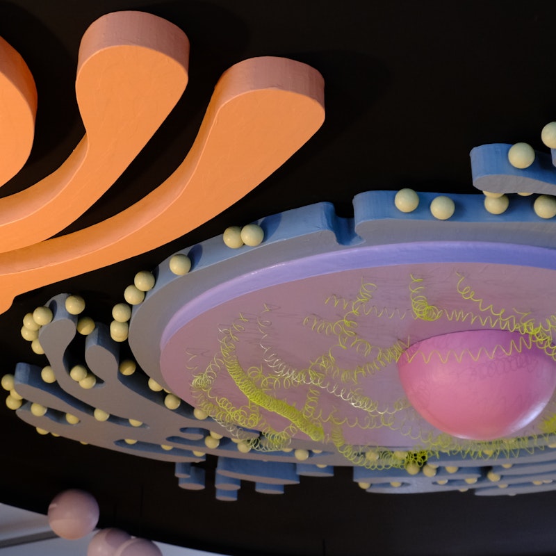 Wildes Baselbiet. Tieren und Pflanzen auf der Spur Image for Wildes Baselbiet. Tieren und Pflanzen auf der Spur