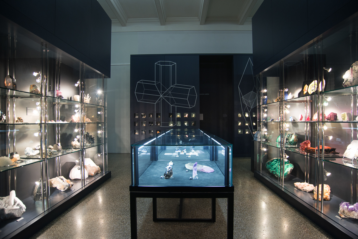 Image for Fosilie a krystaly