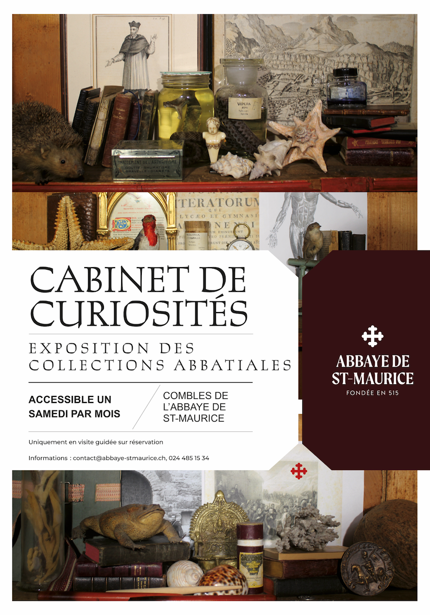Image for Cabinet de curiosités