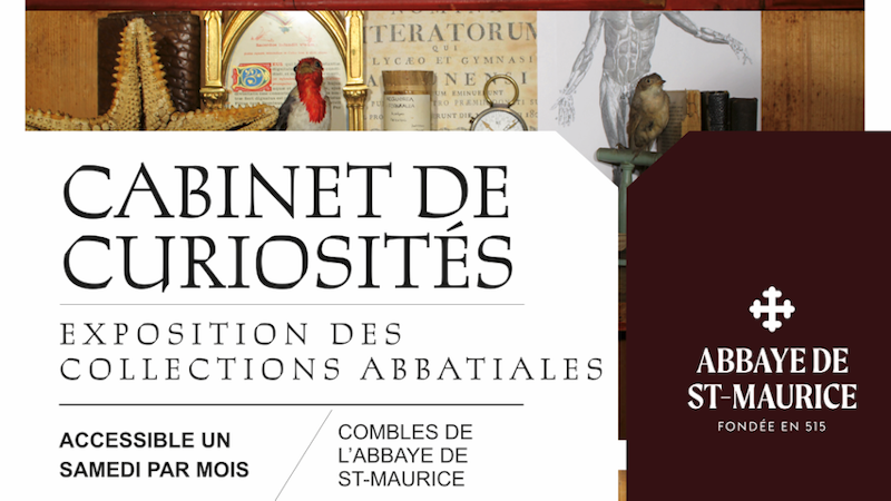 Cabinet de curiosités Image for Cabinet de curiosités