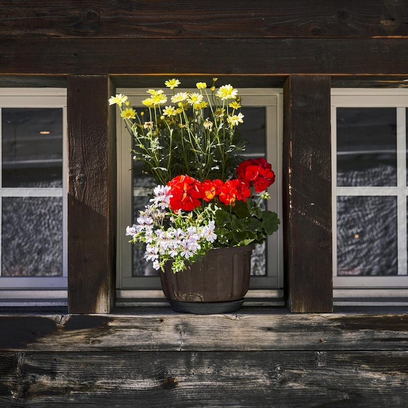 Village tour Saas-Fee Image for Village tour Saas-Fee