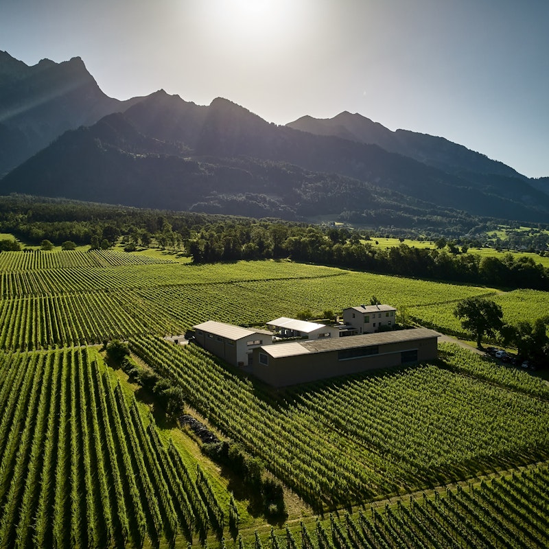 Visita guidata e degustazione presso la Cantina Davaz Image for Visita guidata e degustazione presso la Cantina Davaz