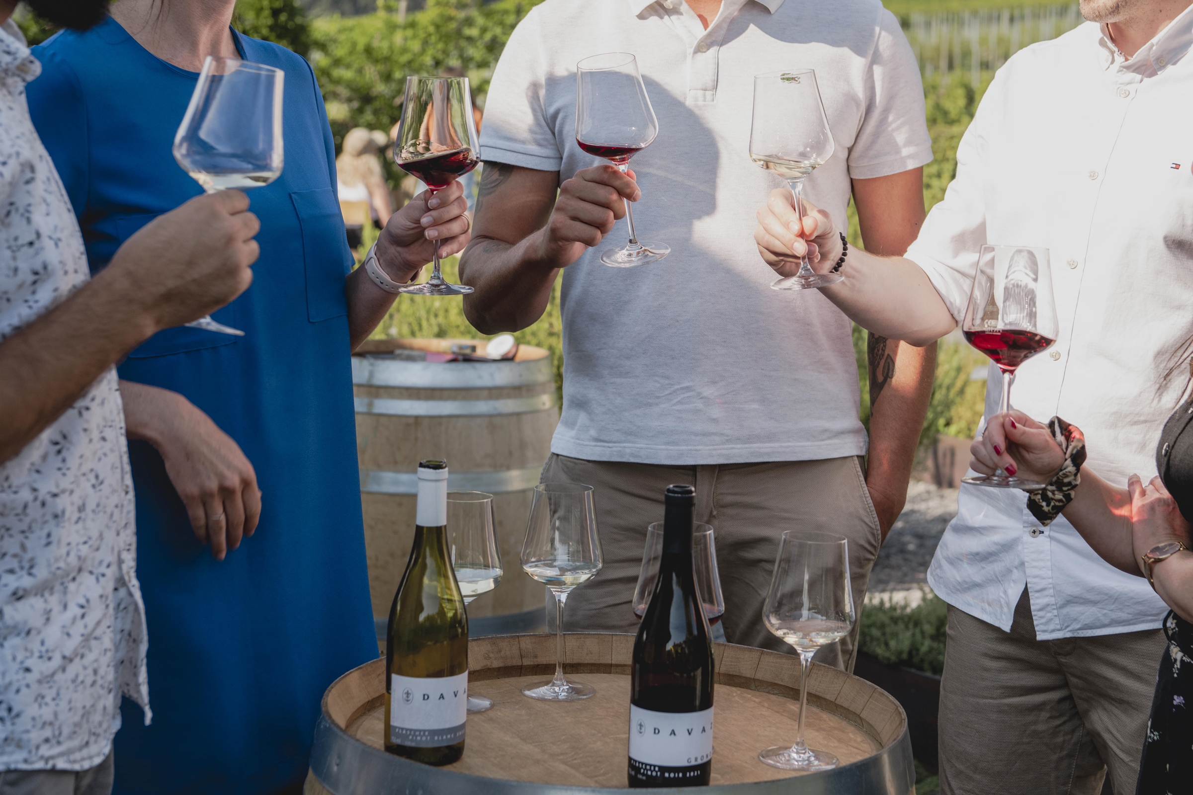 Image for Visita guidata e degustazione presso la Cantina Davaz