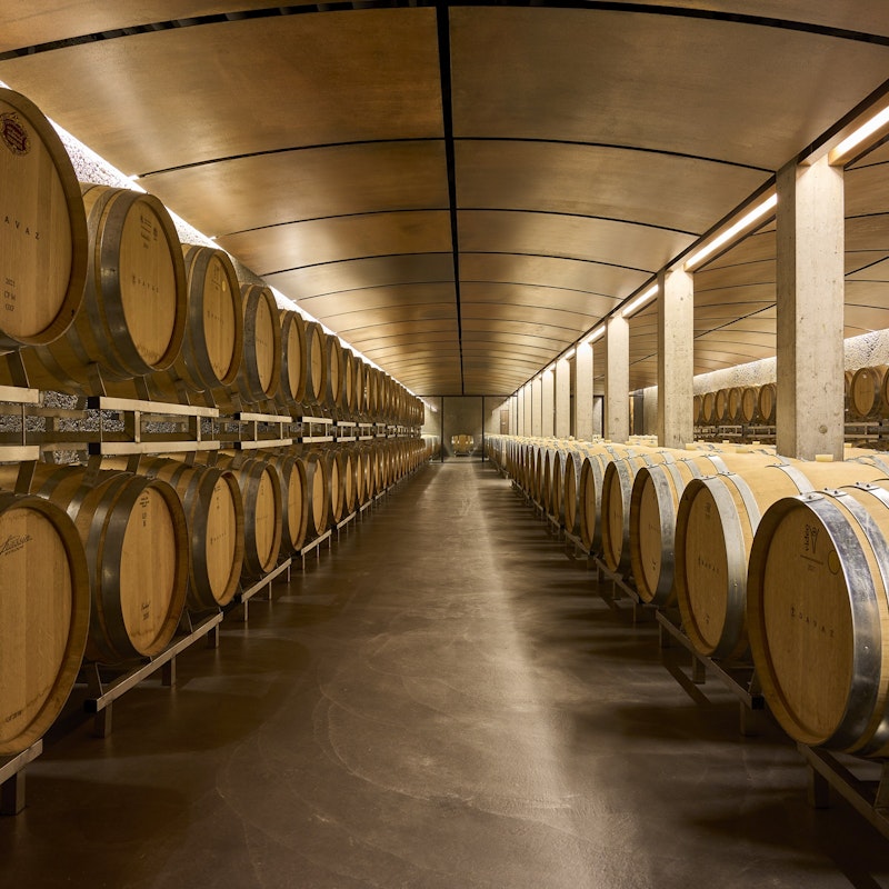 Visita guidata e degustazione presso la Cantina Davaz Image for Visita guidata e degustazione presso la Cantina Davaz