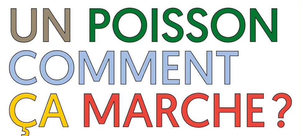 Image for How does a fish walk?