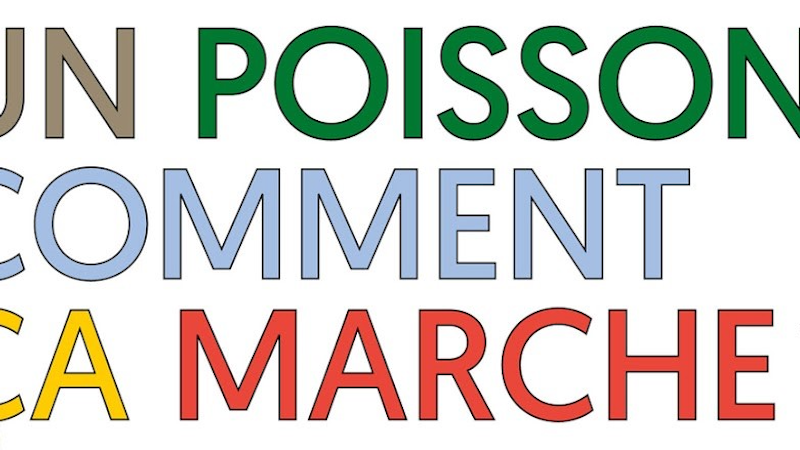 How does a fish walk? Image for How does a fish walk?