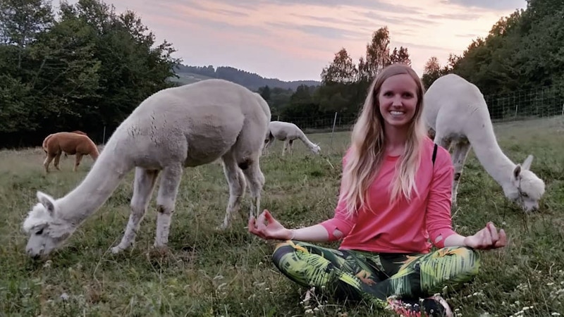 Yoga among alpacas Image for Yoga among alpacas