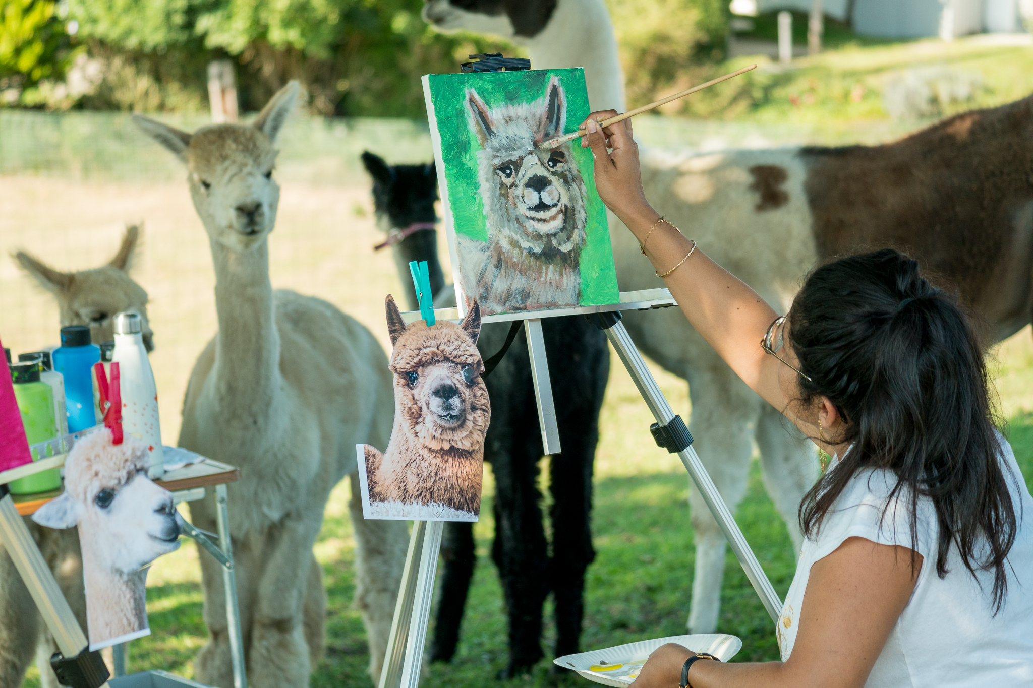 Image for Peindre au milieu des alpagas