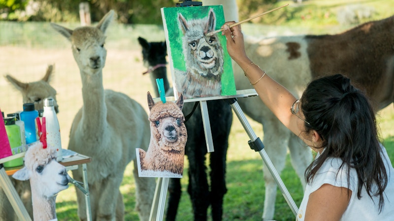 Peindre au milieu des alpagas Image for Peindre au milieu des alpagas